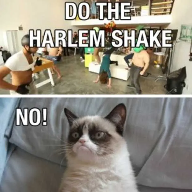 hoe gangnam style en harlem shake wereld