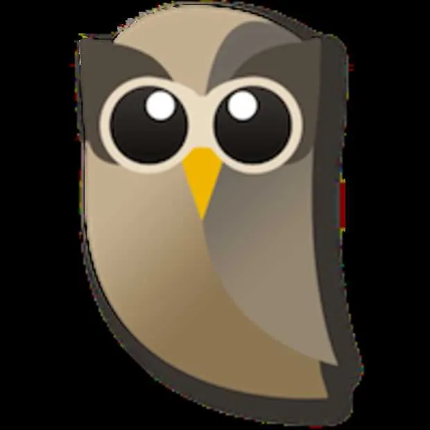 hootsuite 5 miljoen gebruikers 290 medew