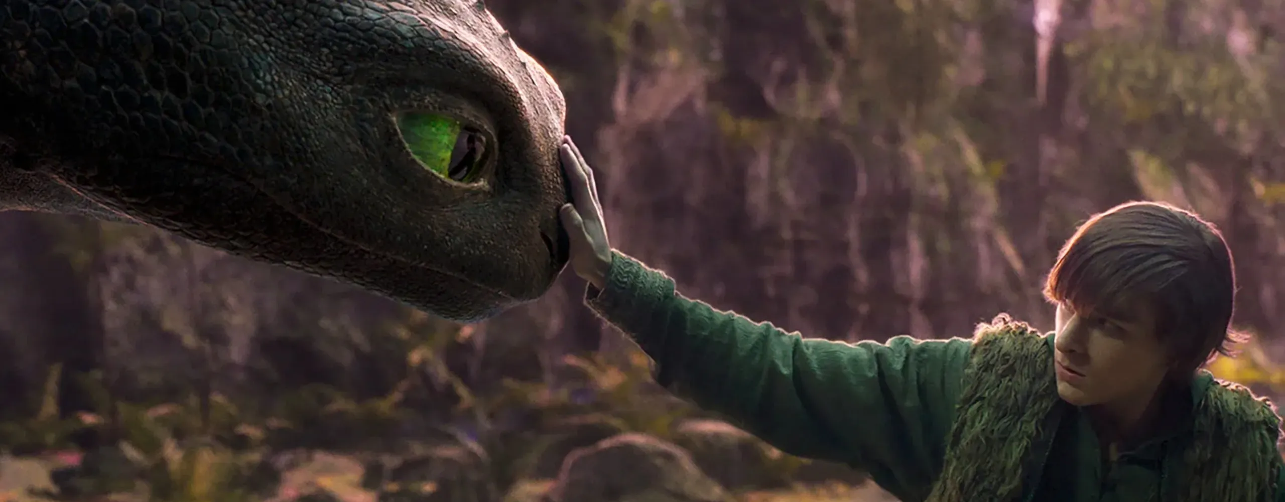 how to train your dragon