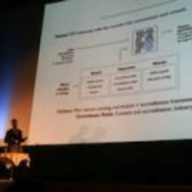 i beta festival 2010 henrik moltke over