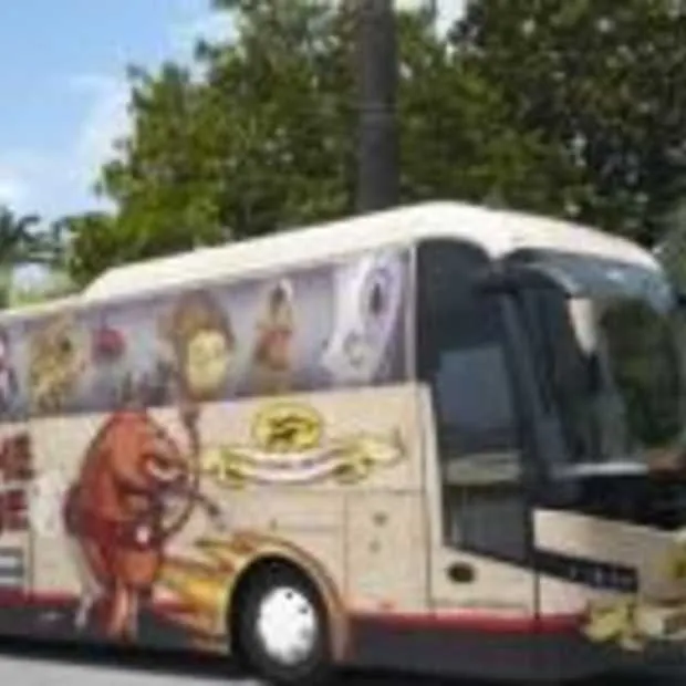 jongehonden in cannes