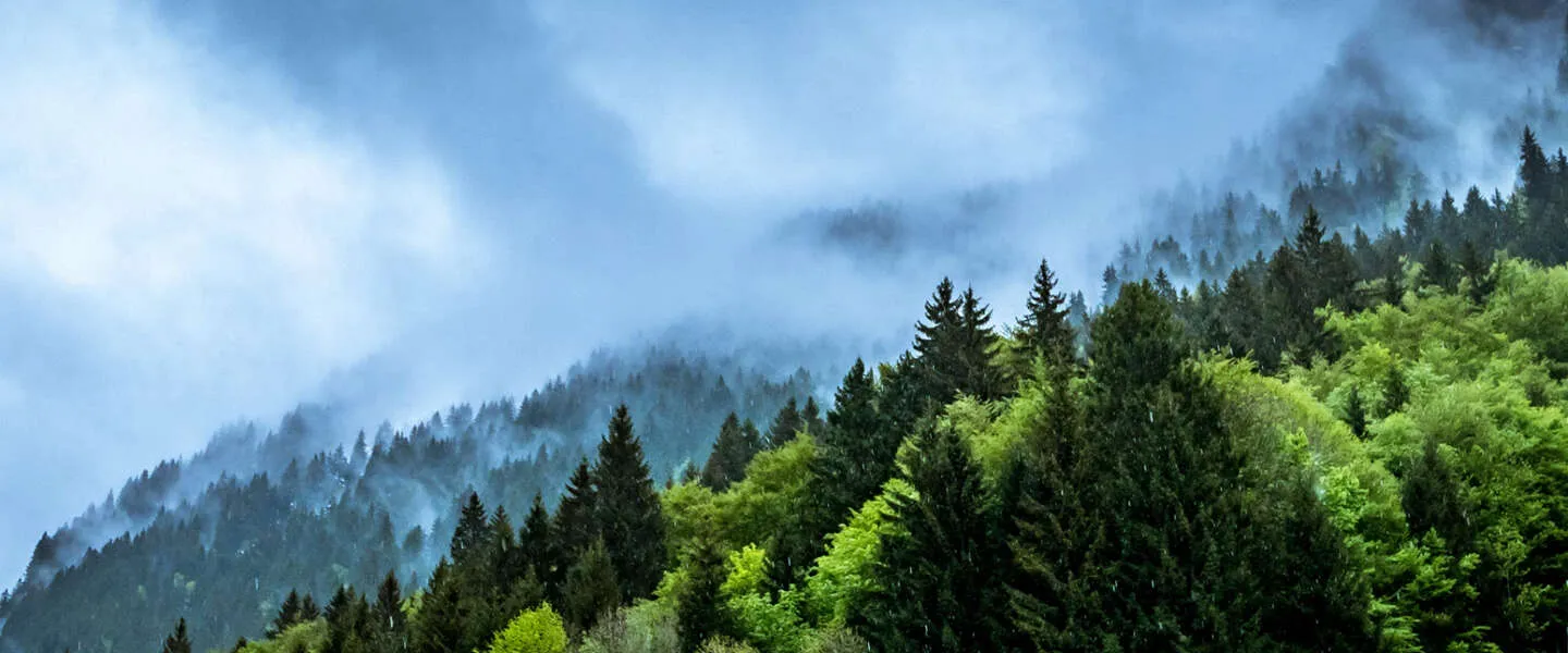 klimaatverandering pinterest