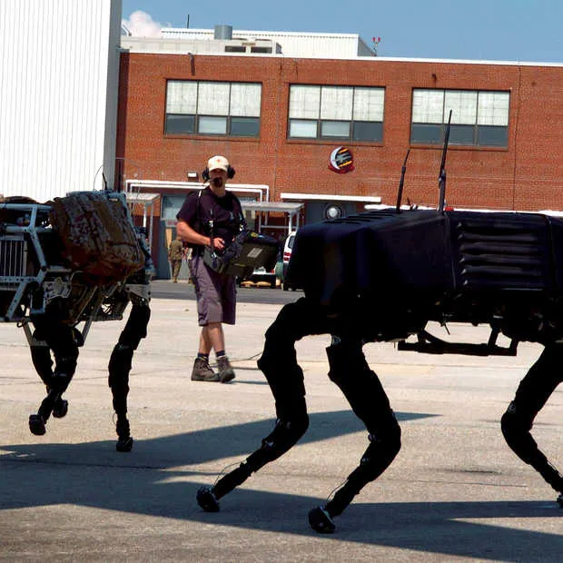 laat je niet verrassen