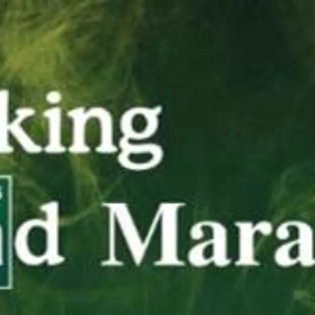 met dutchcowboys naar de breaking bad ma