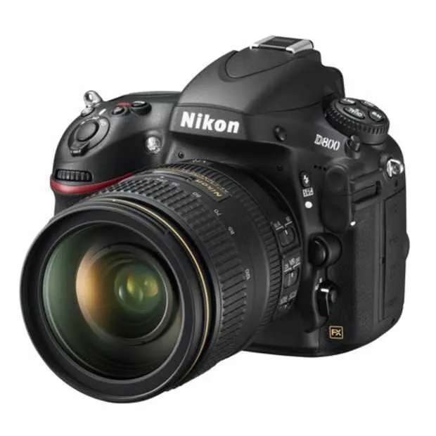 nikon d4 en d800 beste camera s van het