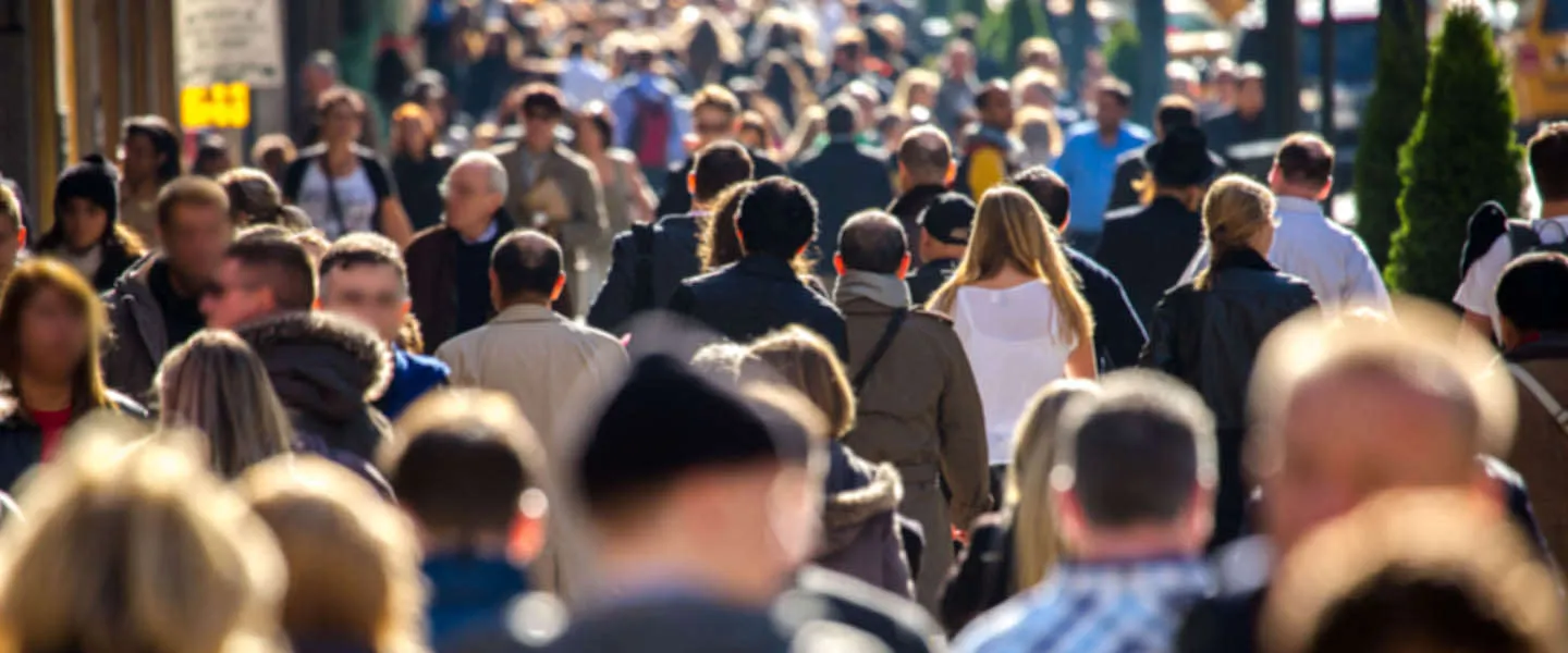 overheid gebruik the crowd