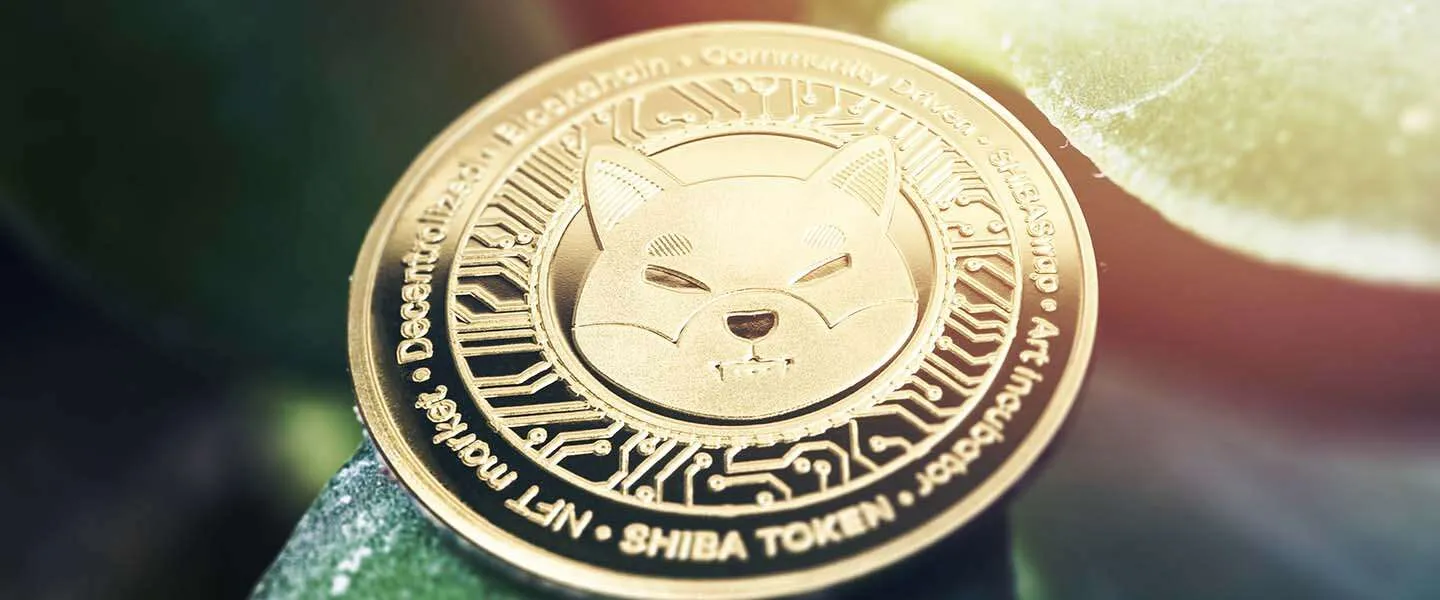 shiba inu coin