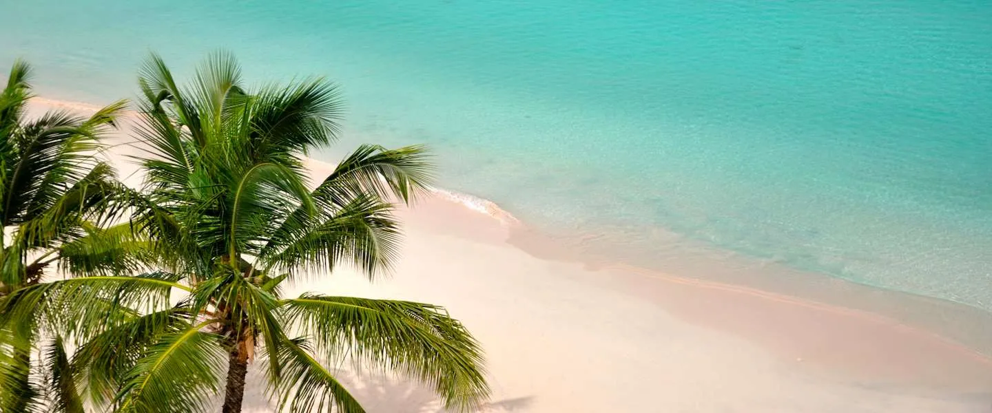 the new travelvalley 1