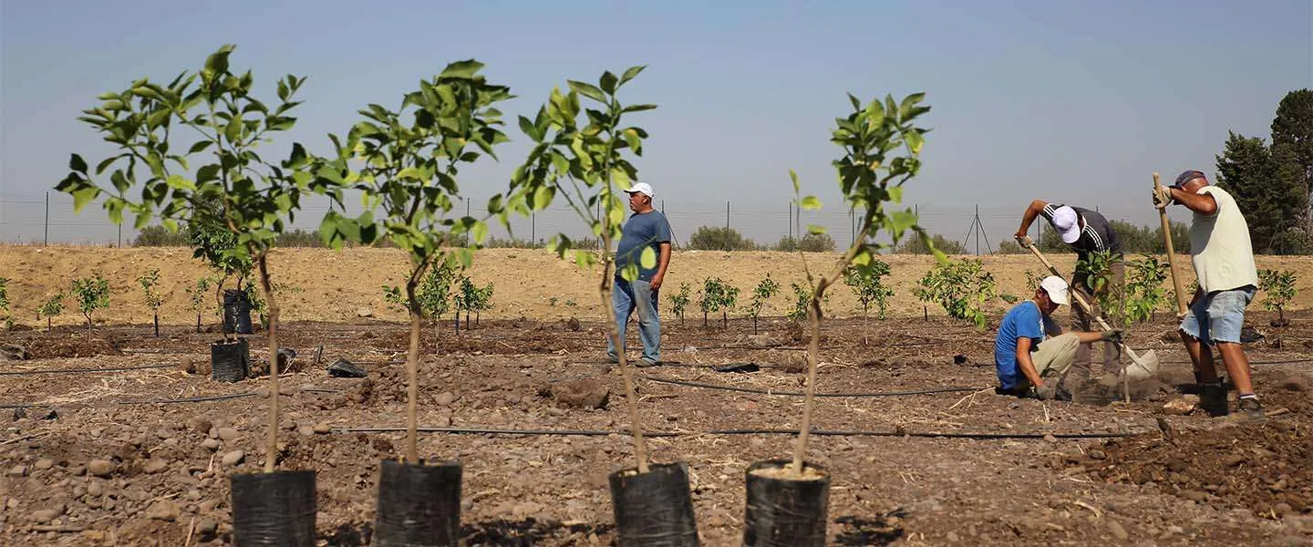 ​Duurzaam ondernemen: plant een bos