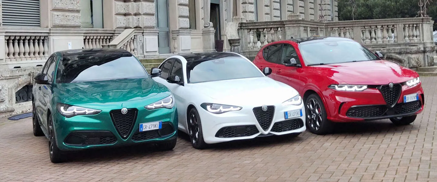 tributo italiano lined up