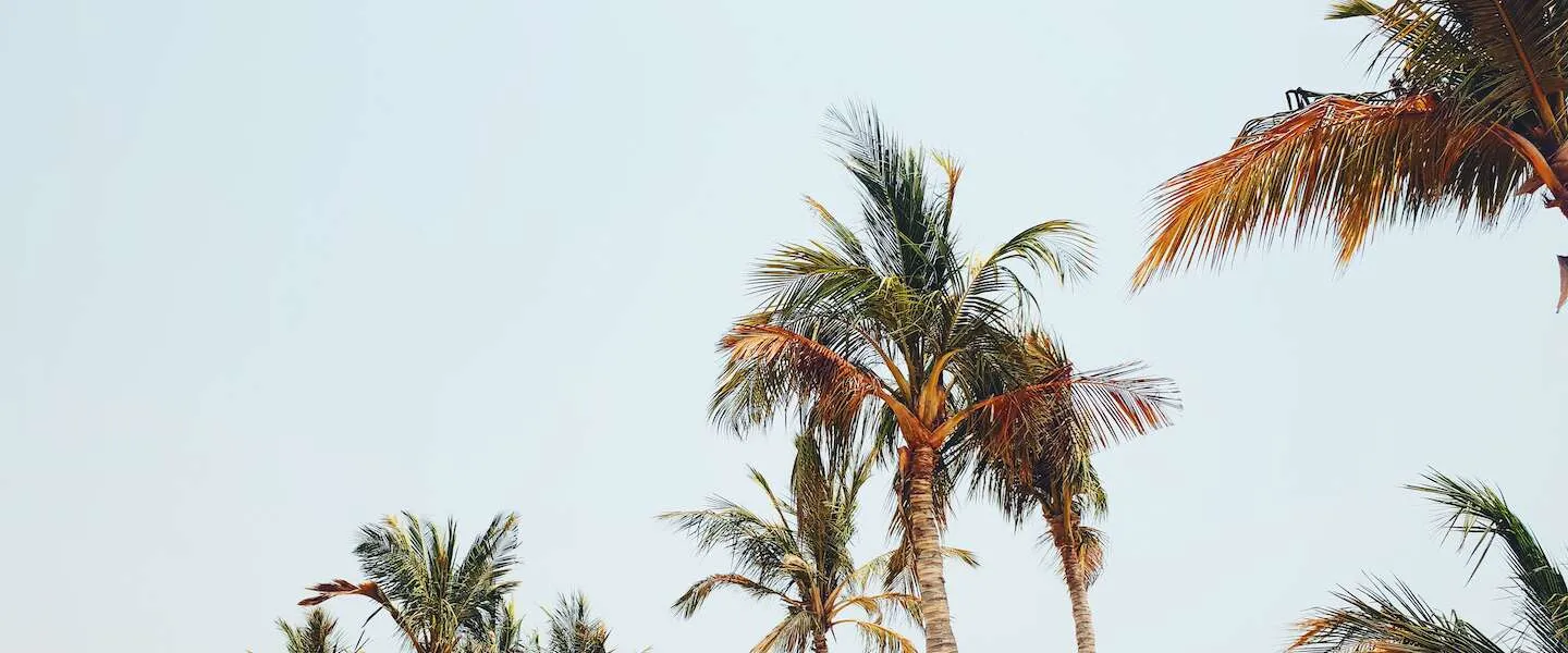 versoepelingen zomer 2021