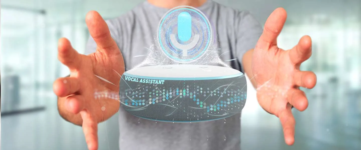 voice in nederland 2020