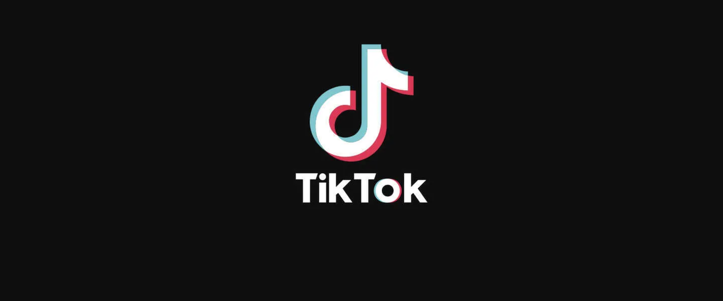 Hoe video's op TikTok de Amerikaanse verkiezingen (kunnen) beïnvloeden