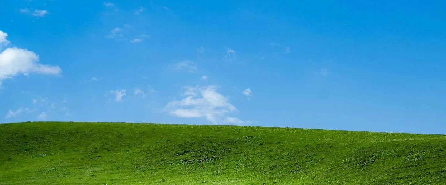 windows xp