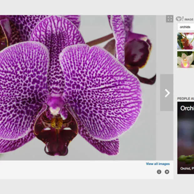 yahoo toont nu ook foto s flickr bij zoe