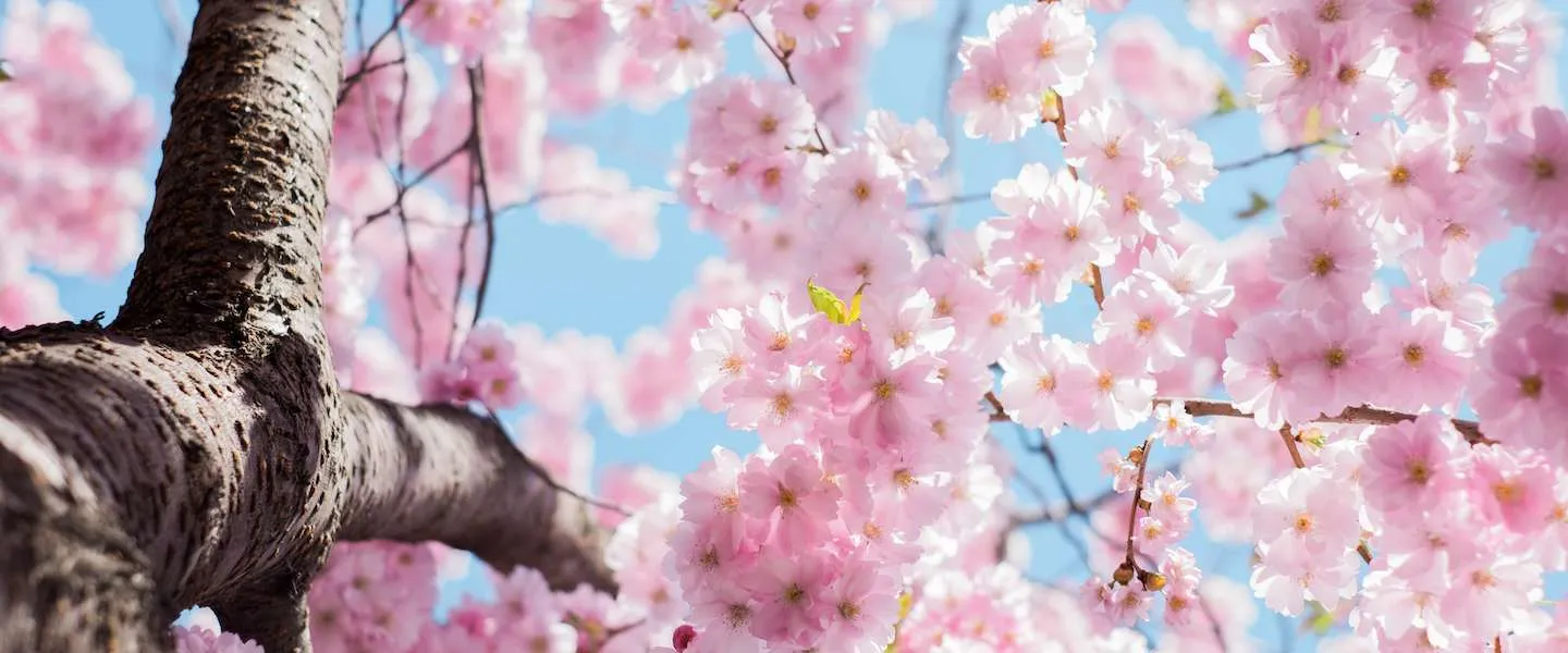 zomertijd klok vooruit of achteruit 1