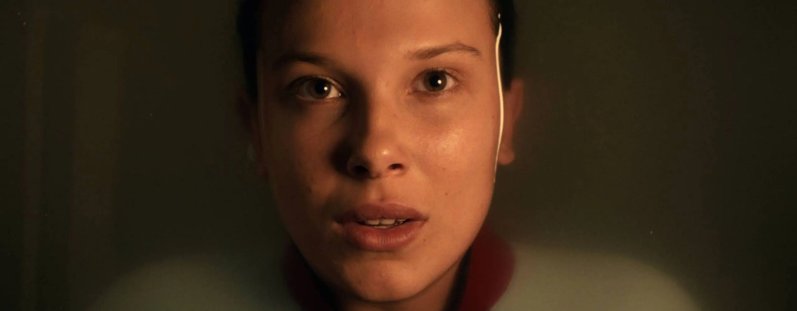 Stranger Things is afgelopen, of toch niet? Deze theorie gaat viral