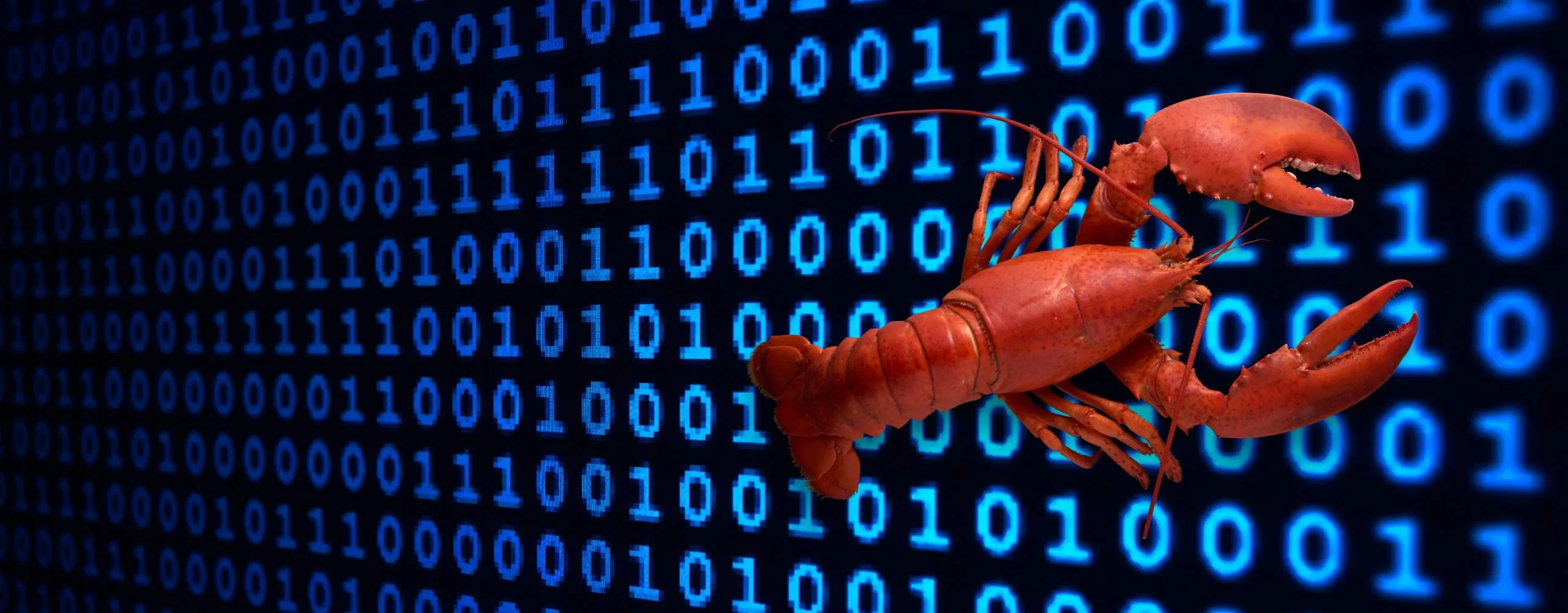 Social medium voor AI-bots maakt 35.000 mailadressen openbaar door veiligheidsfout