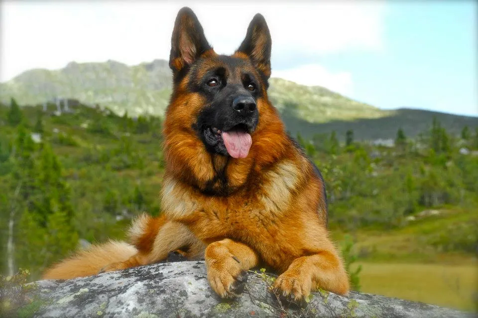 Foto: Lasse Olsrud Evensen