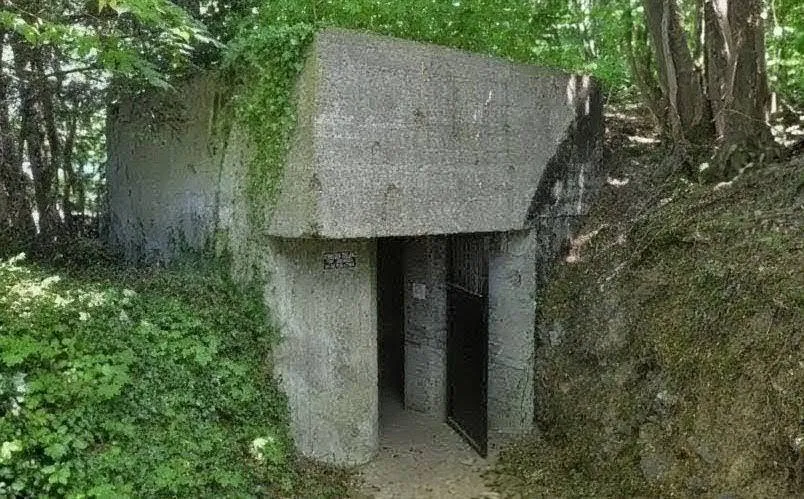 1000114333