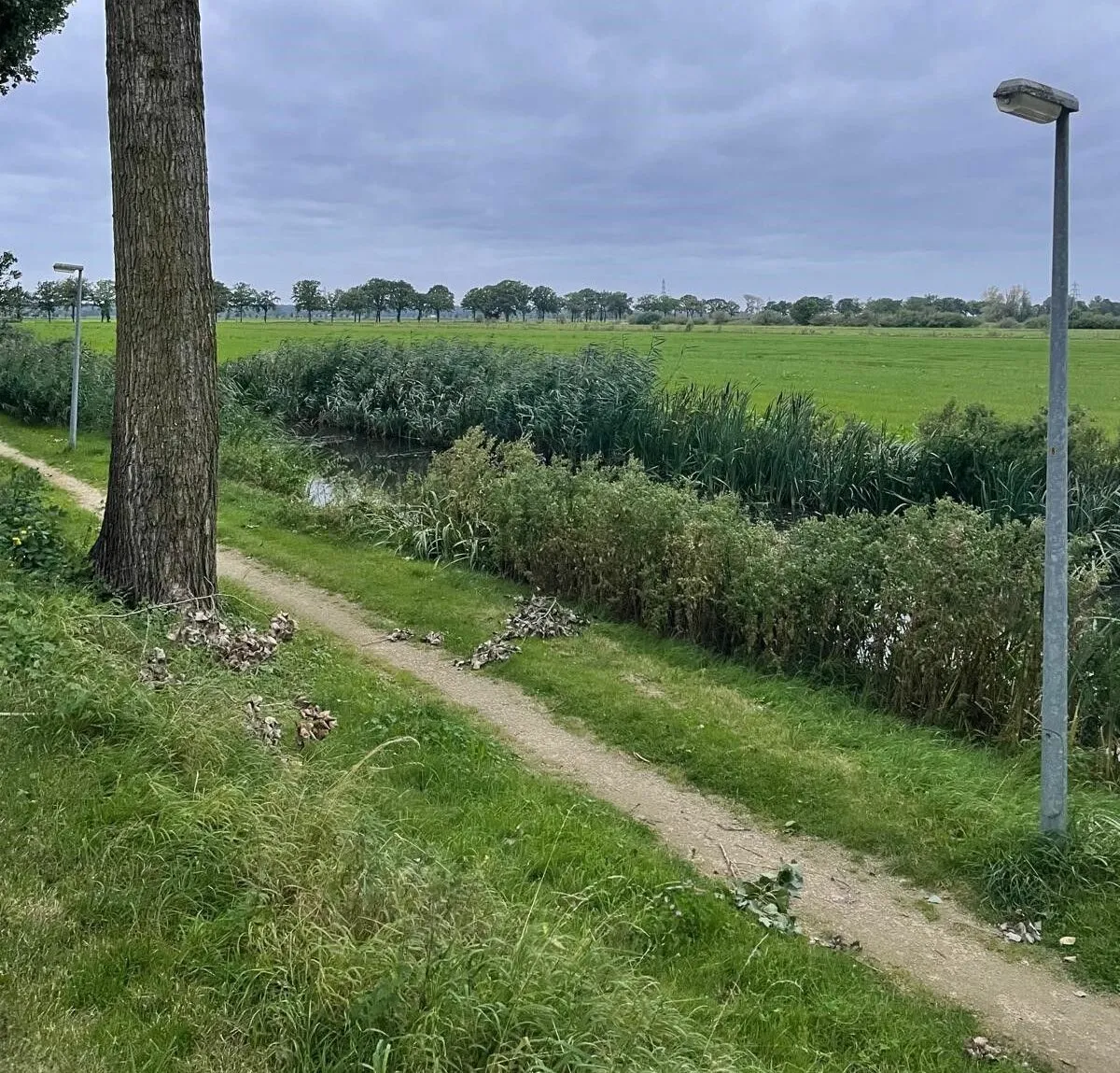 binnenveld e1718023130482
