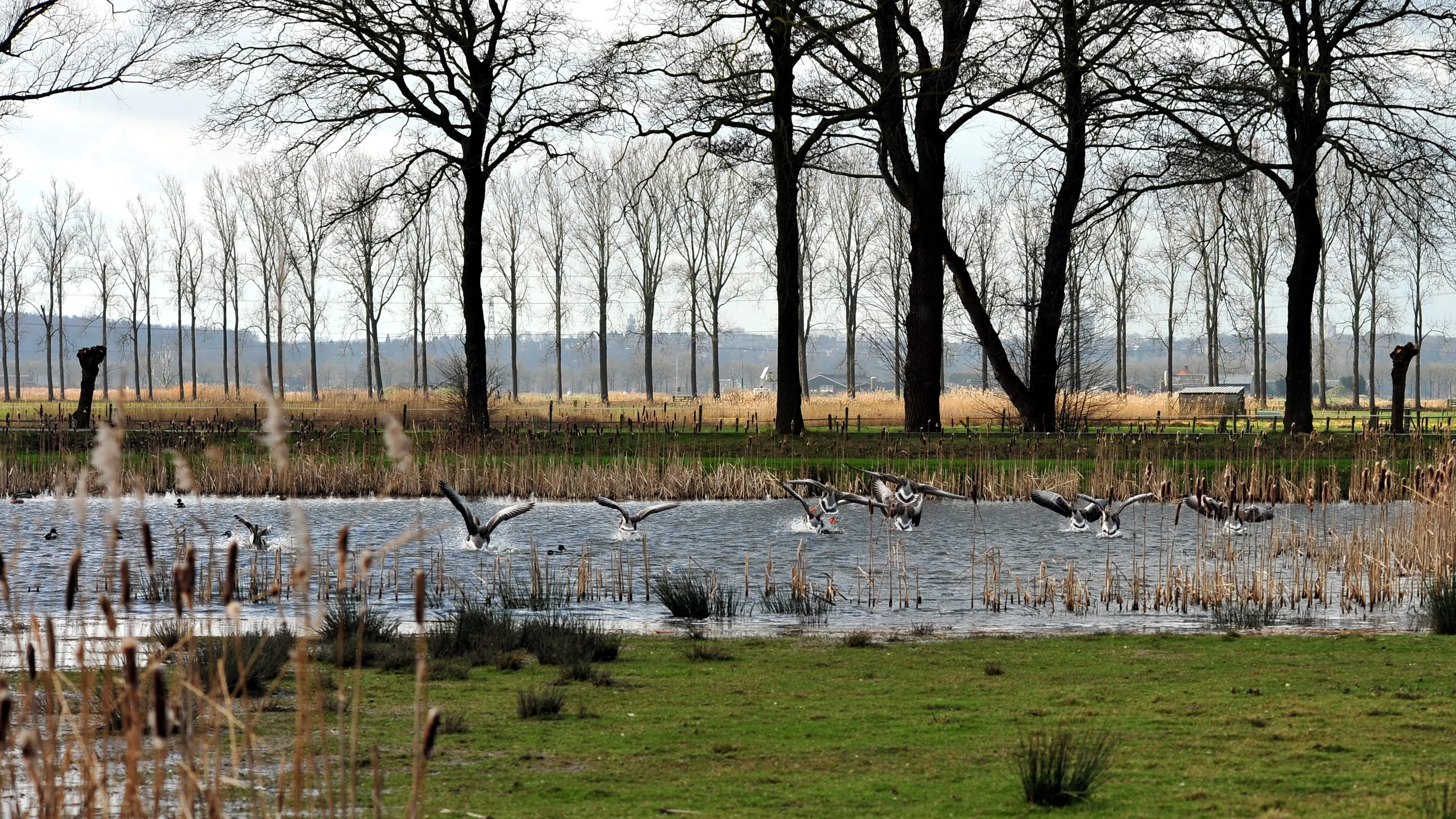 binnenveld van marten idema 1