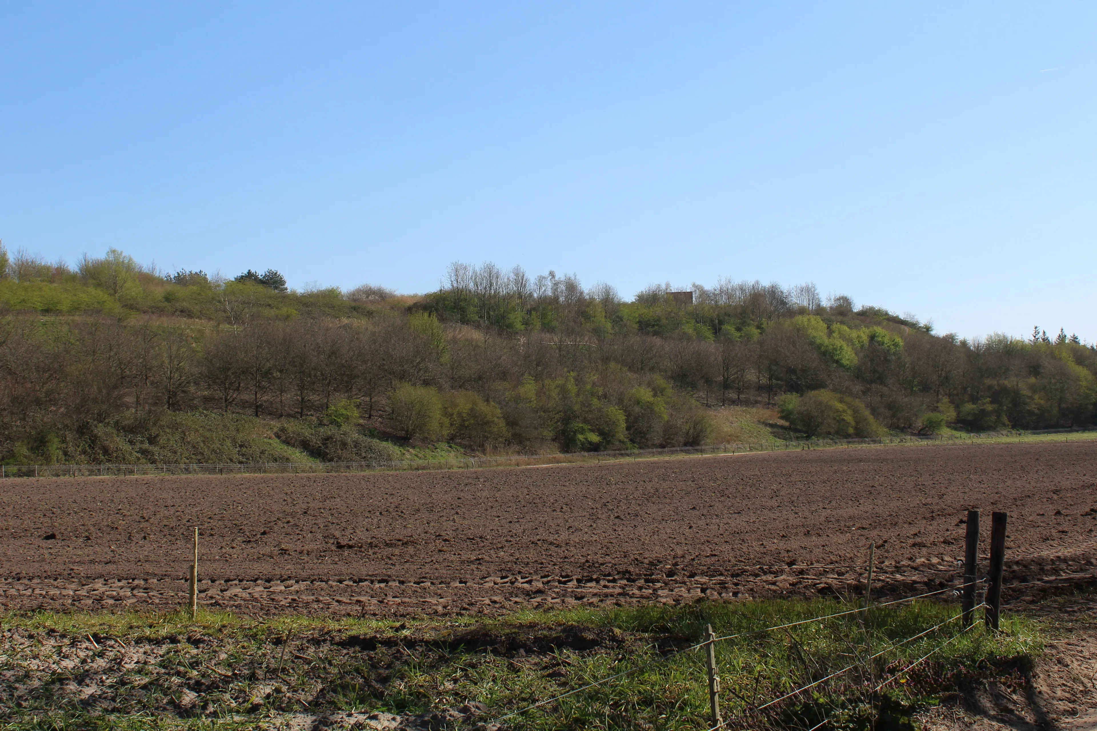 bult wekerom met uitkijktoren goudsberg foto chris ouboter