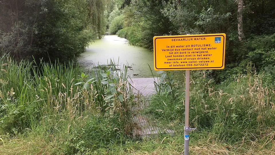 csm pb081 botulisme en blauwalgen in sloten veldhuizen 93a0d7e3b0