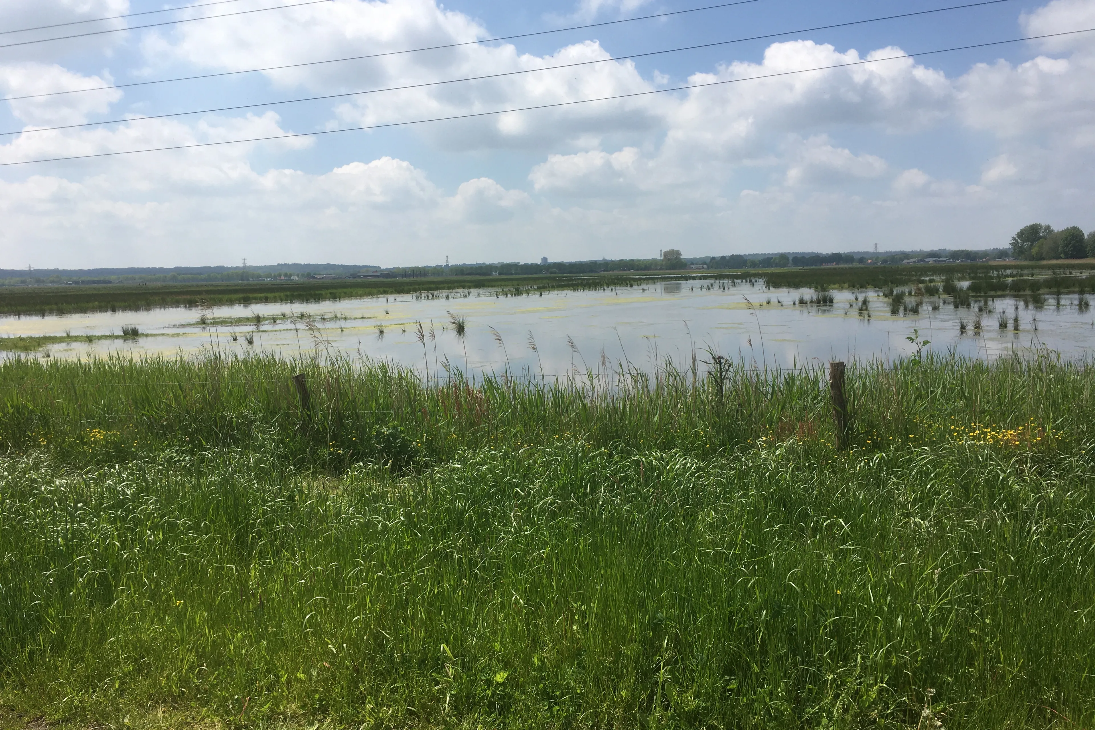 het binnenveld binnenveldse hooilanden
