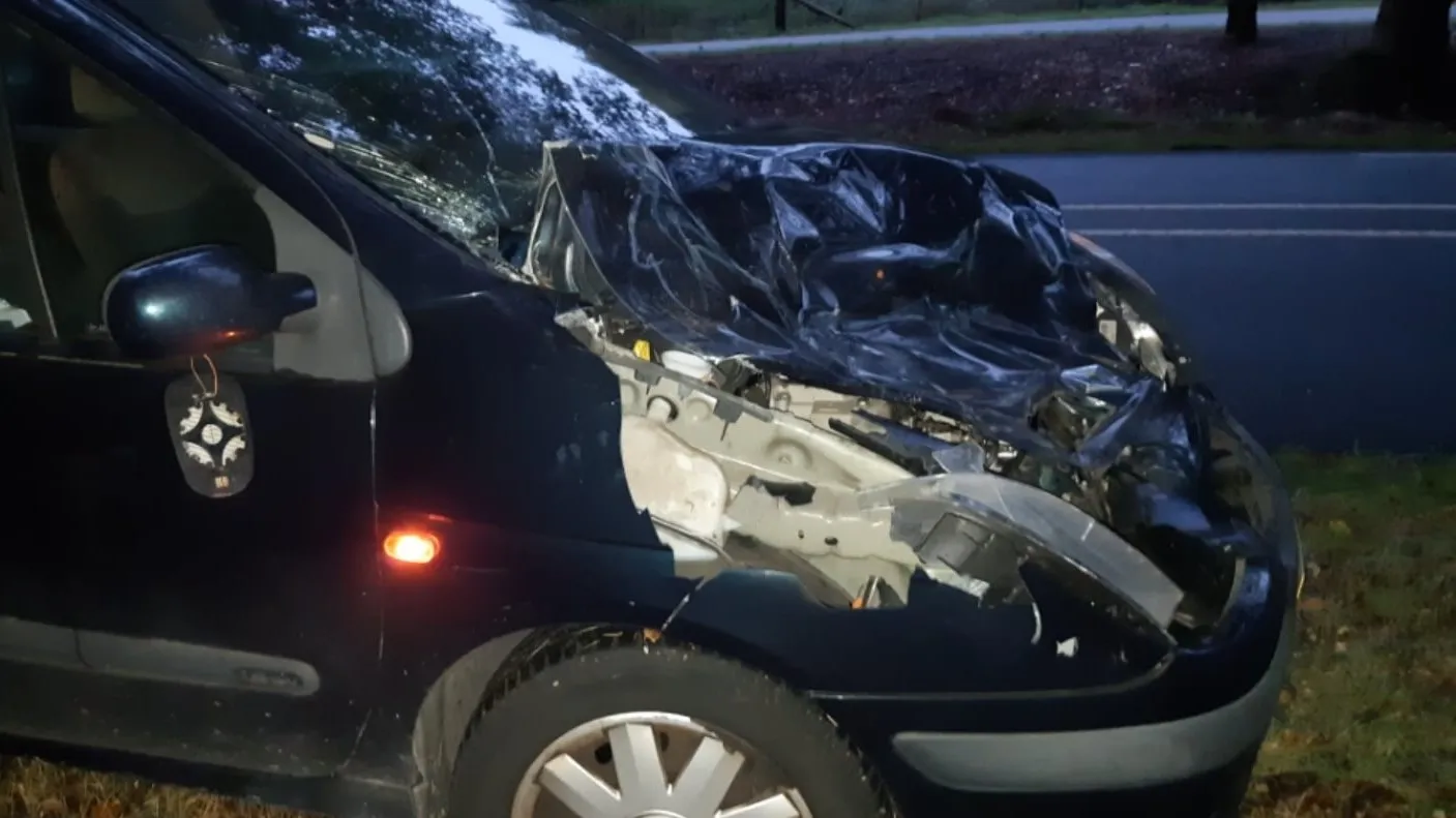 politie ede aanrijding hert
