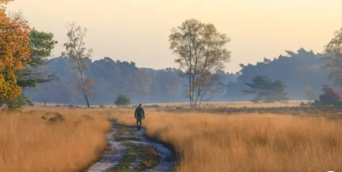 veluwe