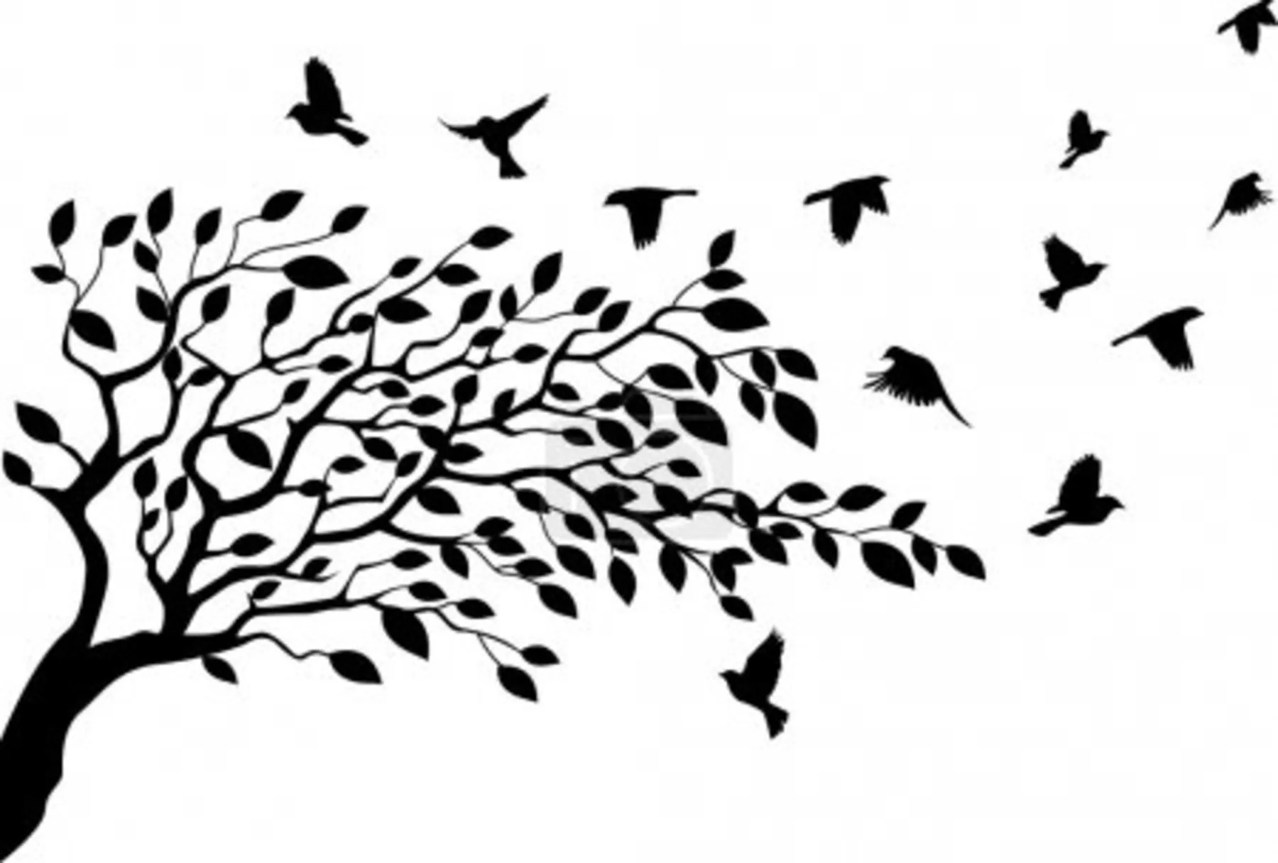vogelvlucht cursus vrijwilligers
