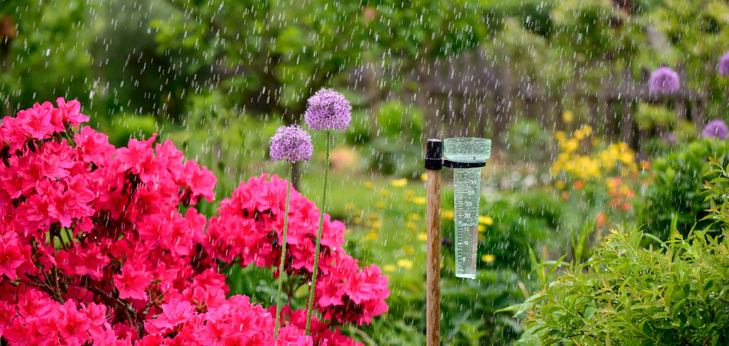 week van de groene tuin