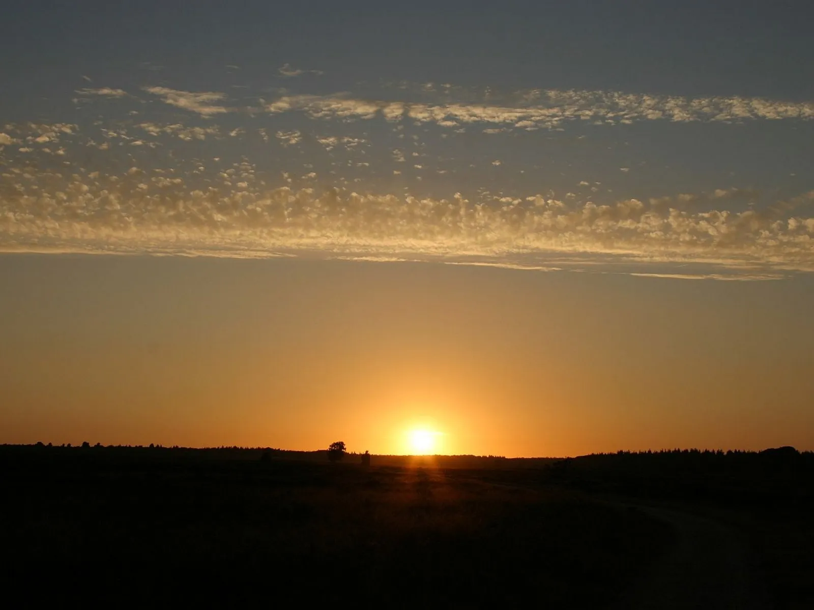 zonsondergang edese heide