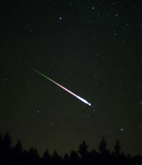 leonid meteor wikipedia sm