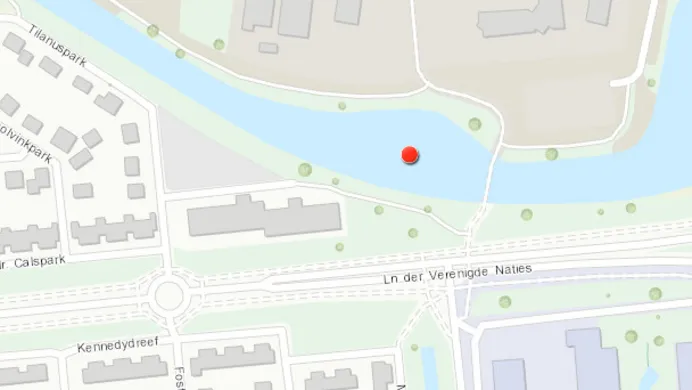 csm_botulisme_vijver_keesomstraat_en_laan_der_verenigde_naties_25f7b9c830