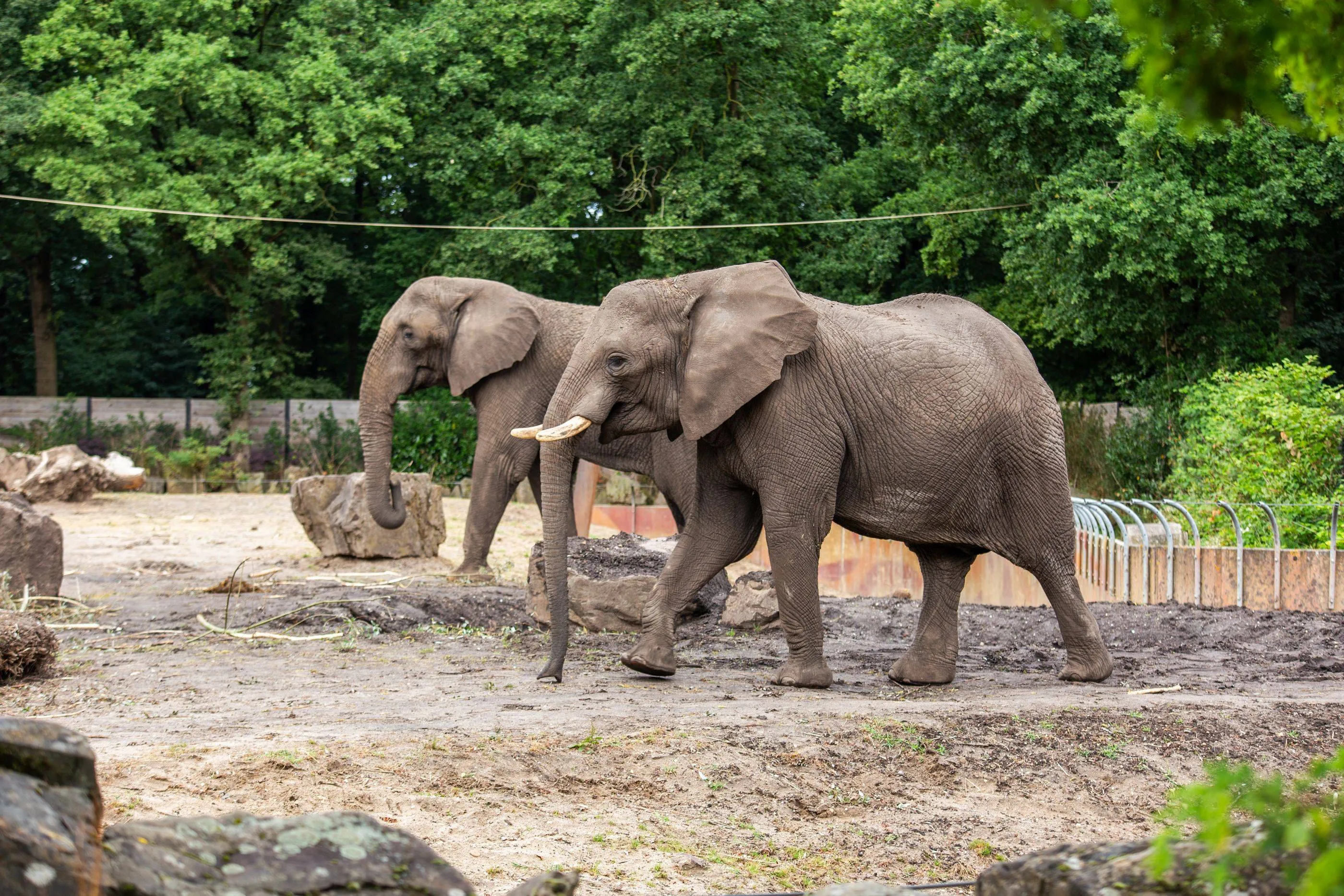 2025-07-Yoga-en-Duna_BH-2