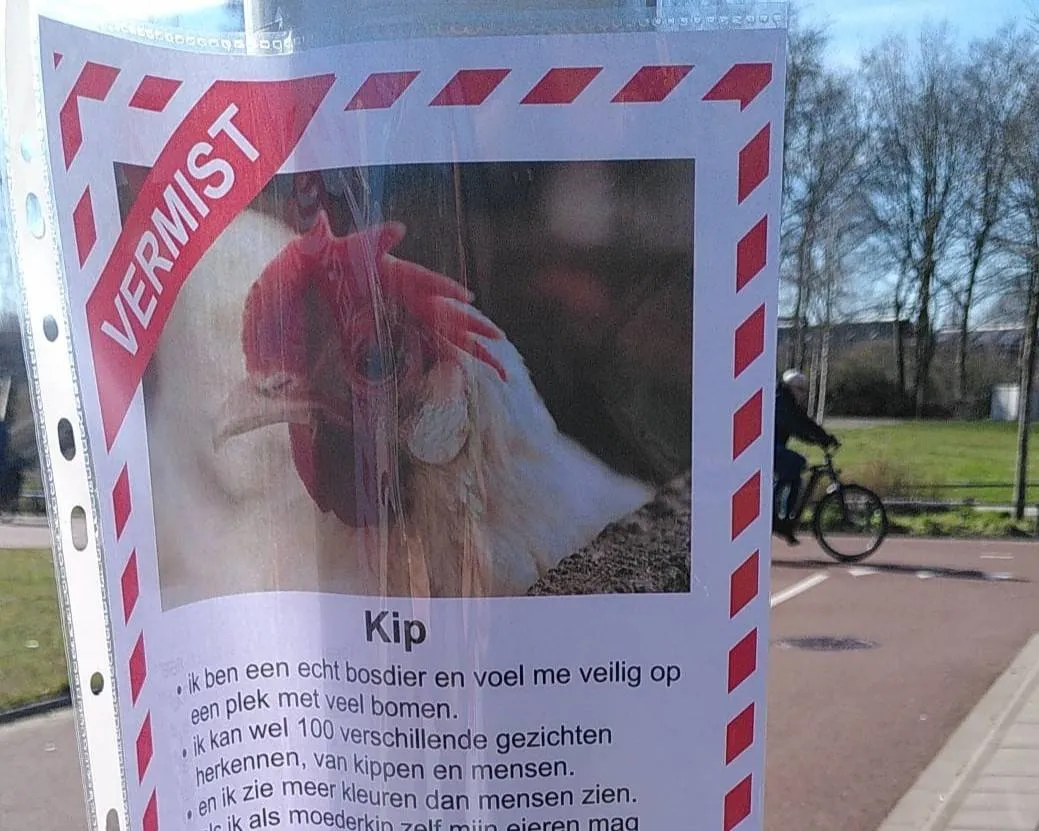 Vermist-poster