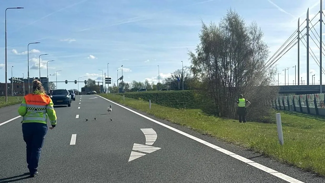 660031485_18546794227070630_1738360295708231487_n