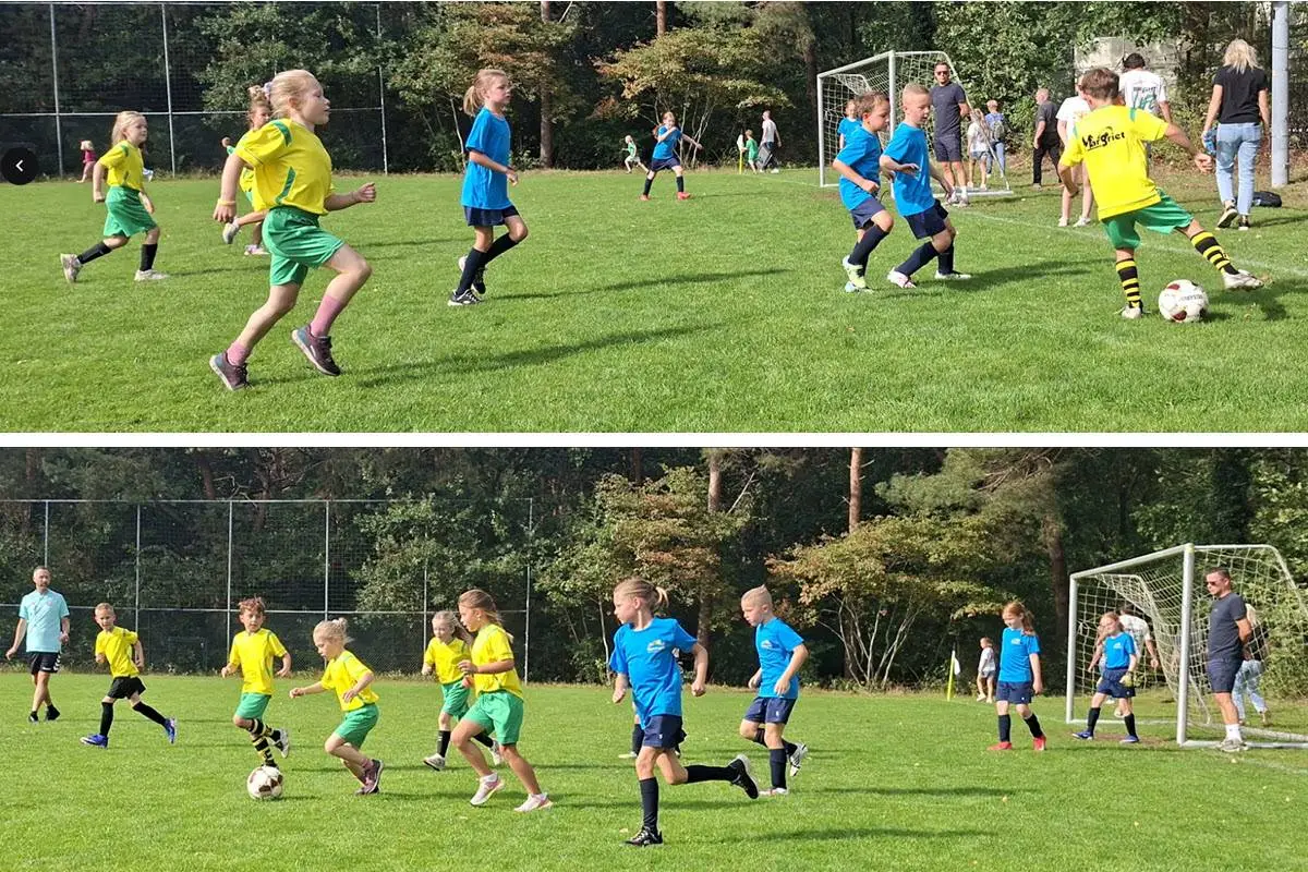 41EN EFCSVB1