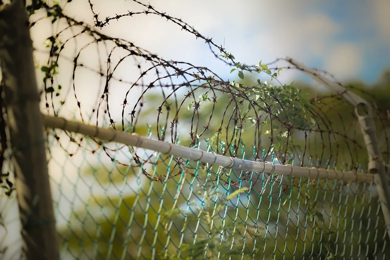 barbed wire 600471 1280