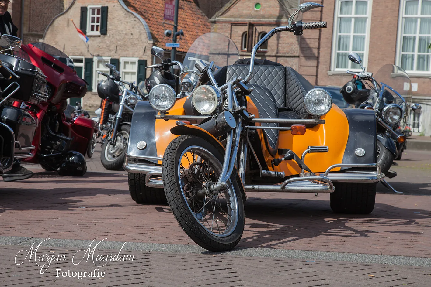 mg 5964