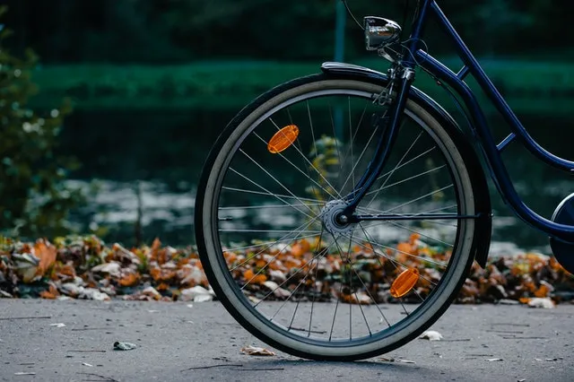 pexels freestocksorg 205324