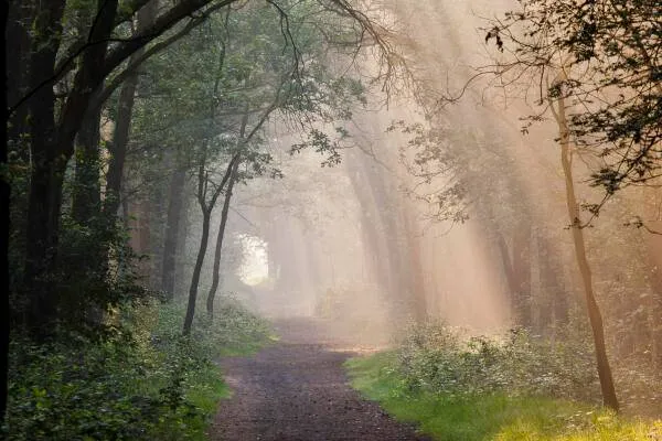 unnamed - 2026-04-08T093917.786