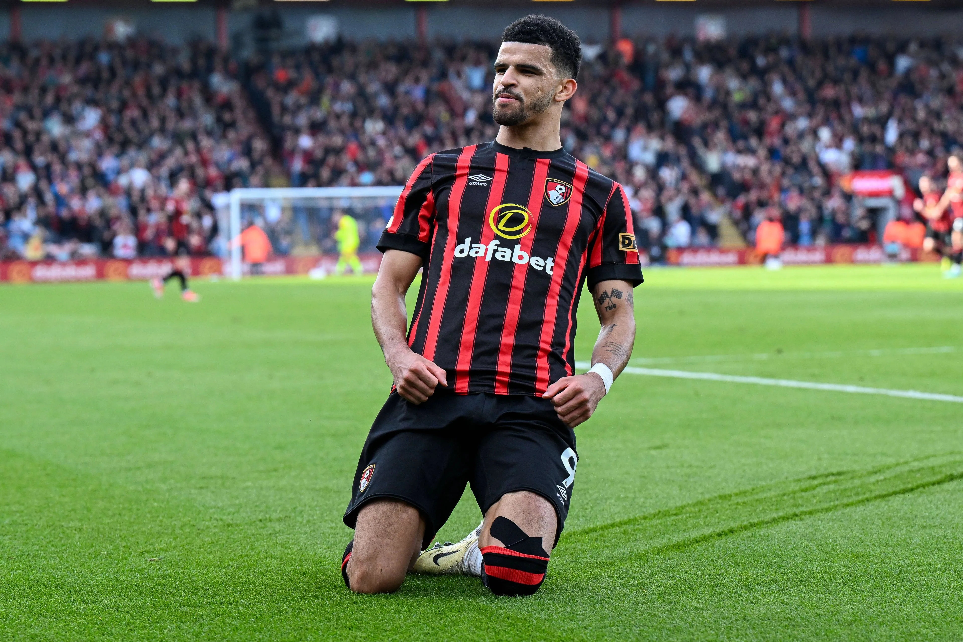Tottenham breekt de clubkas en haalt oud-Vitessenaar Solanke voor 72 miljoen euro