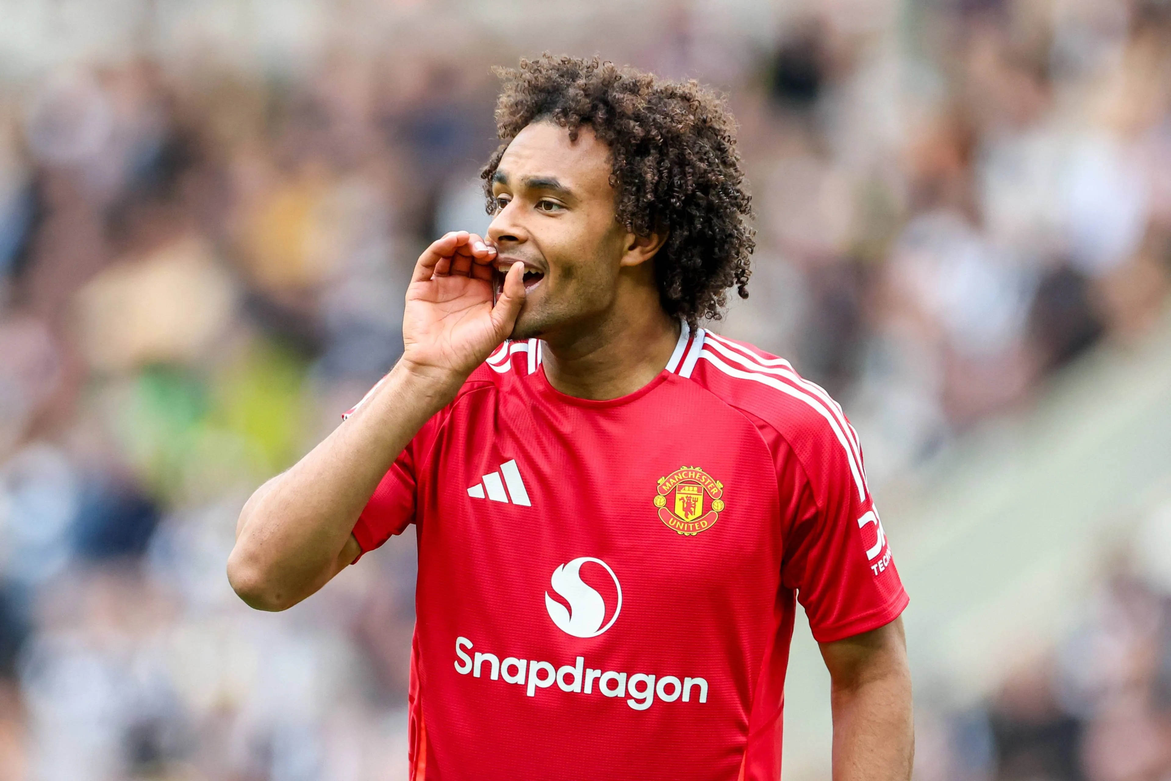 joshua zirkzee united
