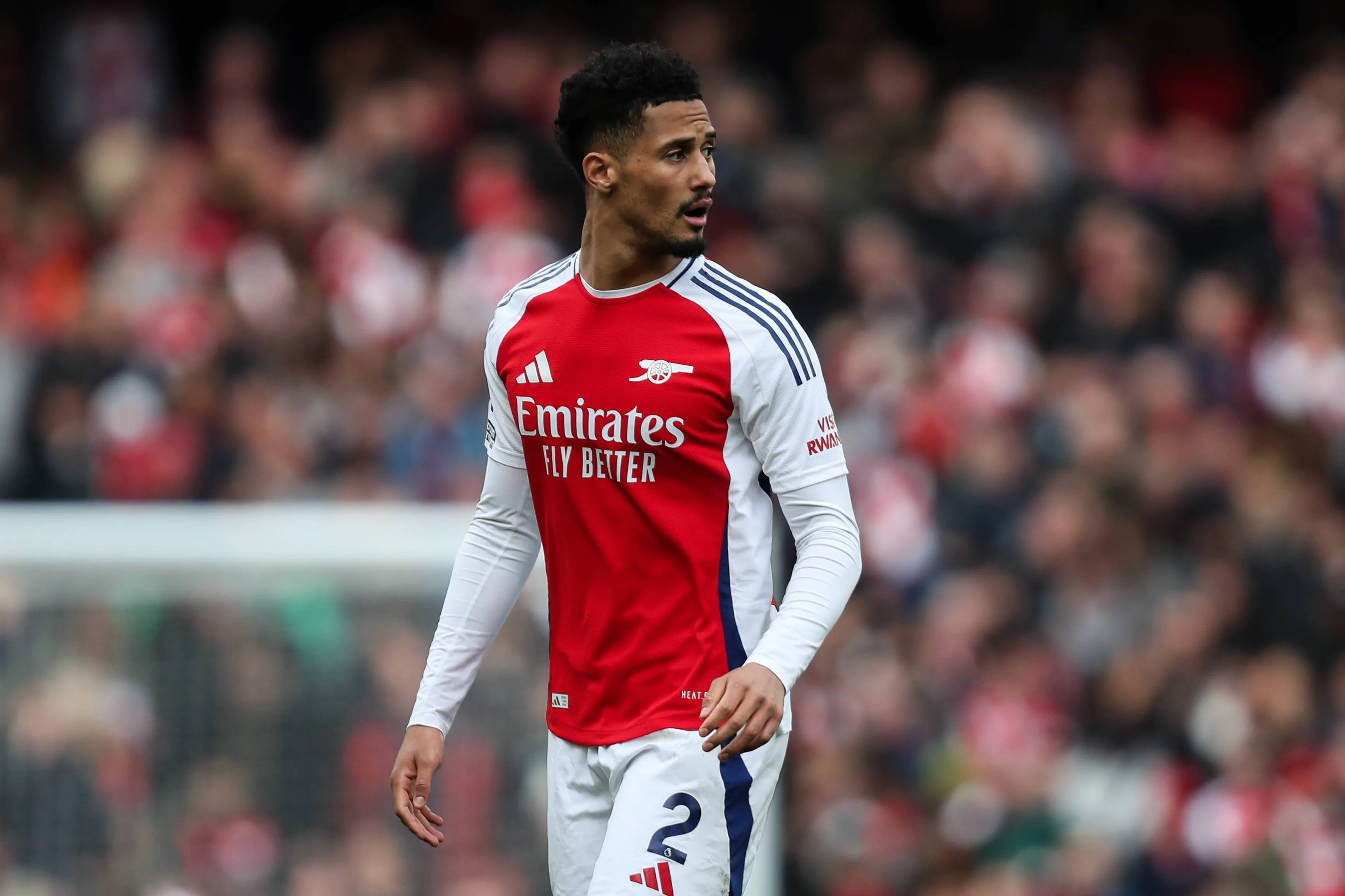 william saliba