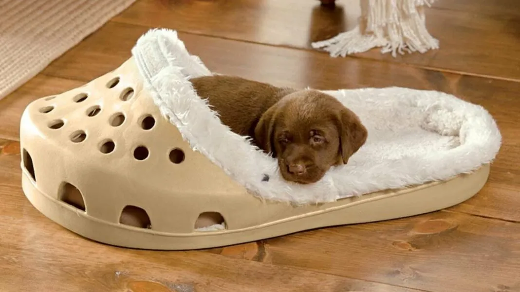 Deze hondenmand in de vorm van een Croc is perfect voor je viervoeter