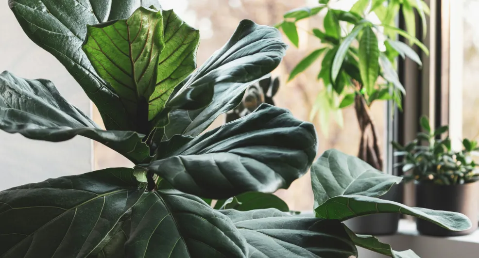 Kunstplanten worden steeds populairder in het interieur én in de tuin