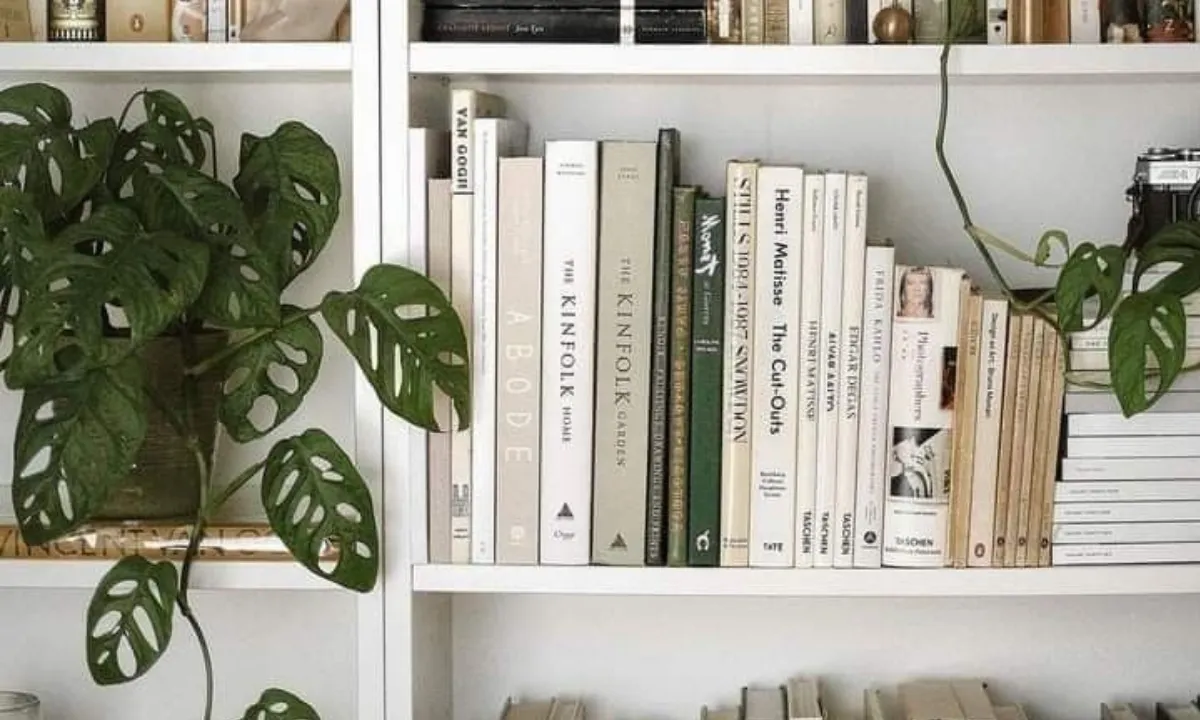 7x de beste boeken geschreven door vrouwen voor vrouwen